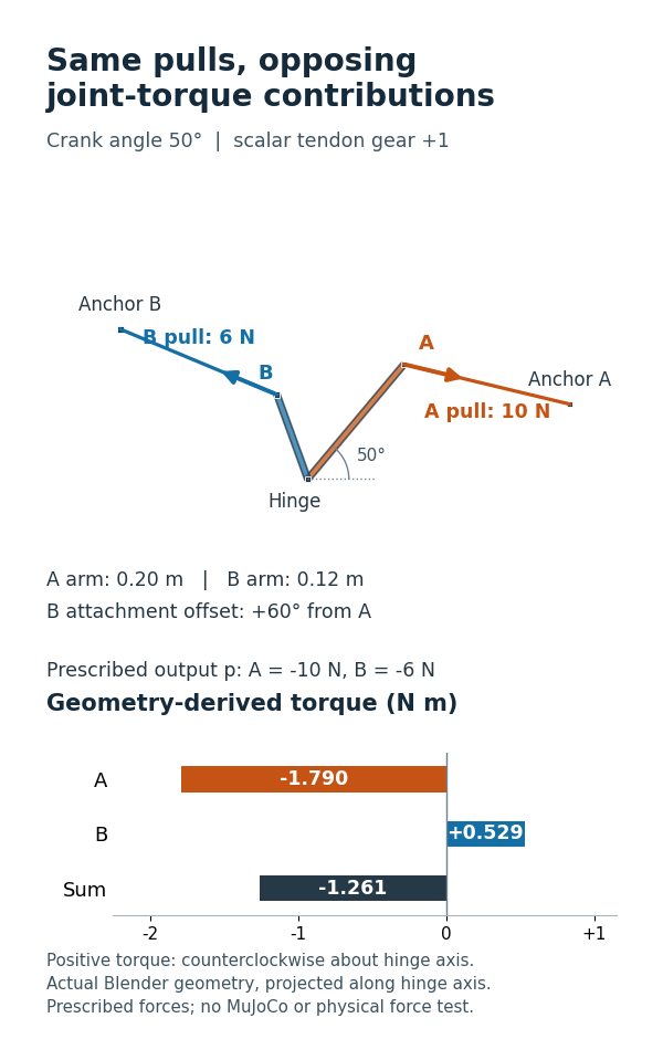 Planar crank and two assigned tendon pulls at 50 degrees, with opposing generalized torque contributions.